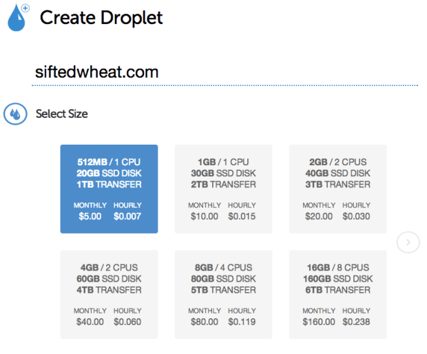 Put your domain name without www here